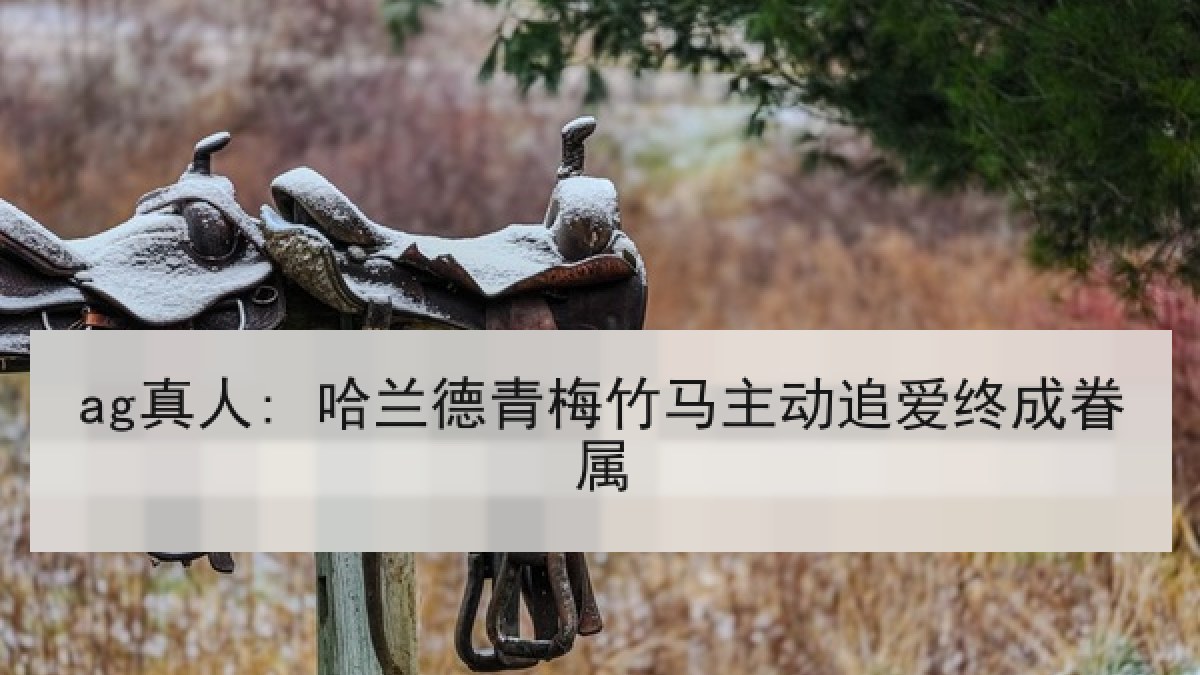 ag真人: 哈兰德青梅竹马主动追爱终成眷属