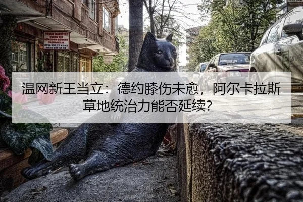 wen-wang-xin-wang-dang-li-de-yue-xi-shang-wei-yu-a-er-ka-la-si-cao-di-tong-zhi-li-neng-fou-yan-xu-3-315.jpg