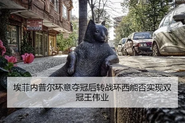 ai-fei-nei-pu-er-huan-yi-duo-guan-hou-zhuan-zhan-huan-xi-neng-fou-shi-xian-shuang-guan-wang-wei-ye-3-414.jpg