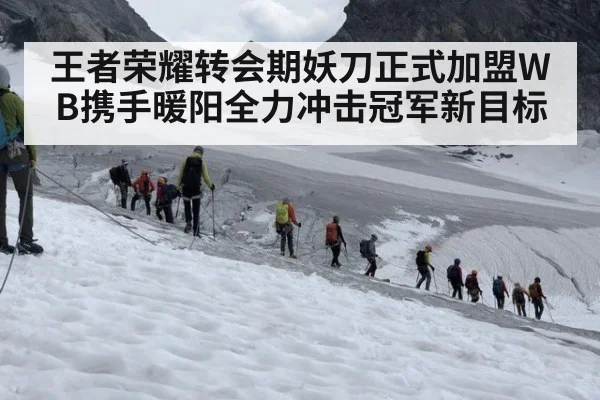 王者荣耀转会期妖刀正式加盟WB携手暖阳全力冲击冠军新目标